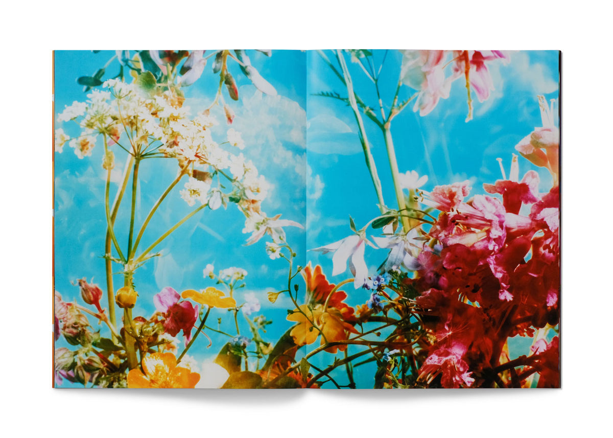 The People Deserve Beauty by Sports Banger X Gareth McConnell