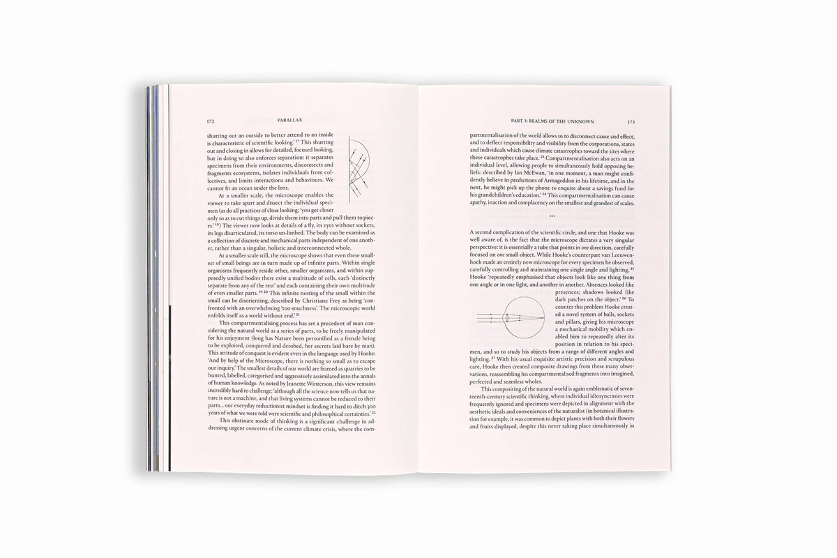 Parallax: Conspiracy Theories, Details, And The Act of Looking Closely - Ellie Wyatt