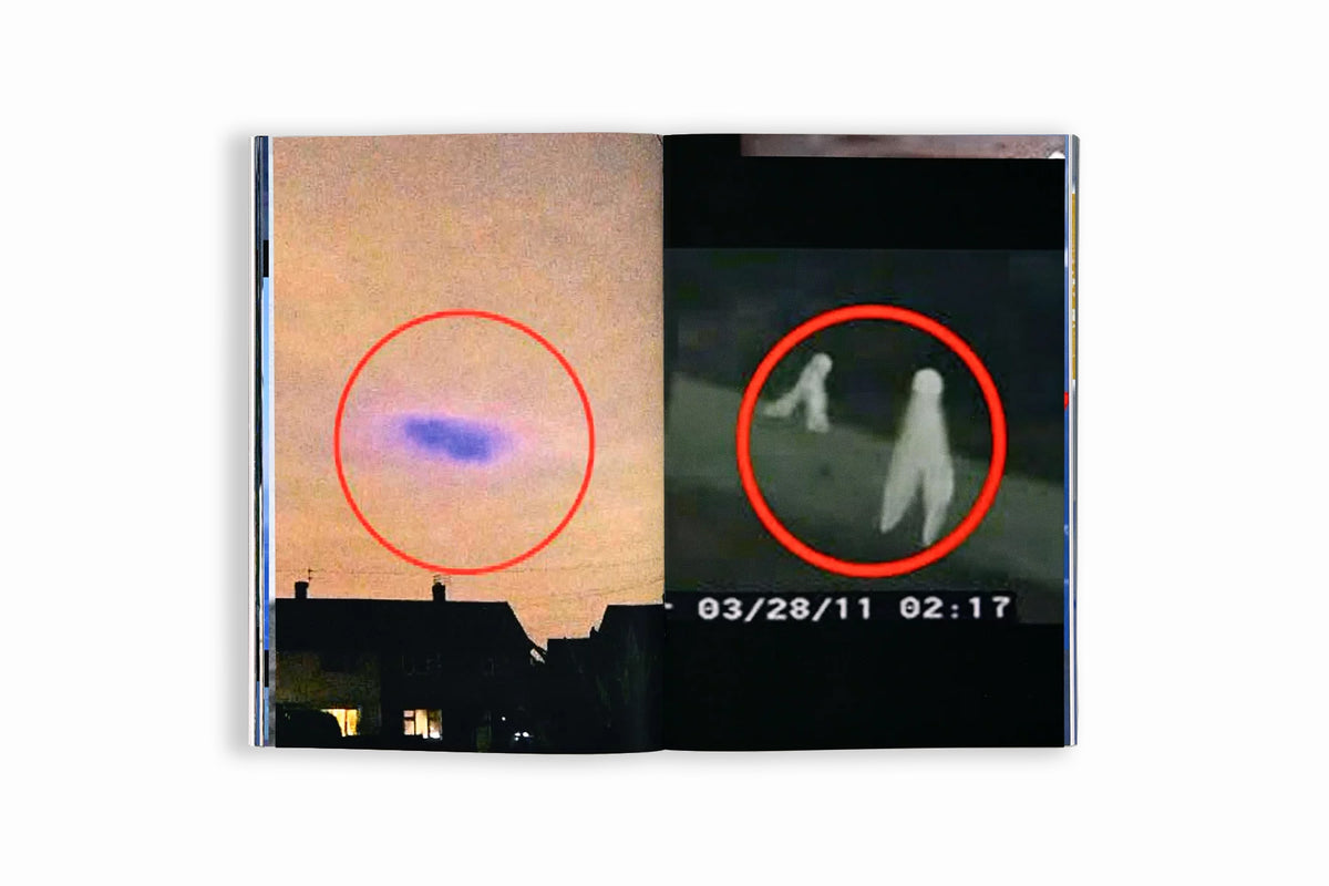 Parallax: Conspiracy Theories, Details, And The Act of Looking Closely - Ellie Wyatt