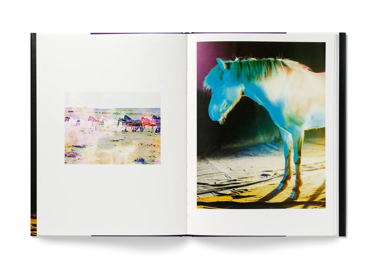 The Horses - Gareth McConnell