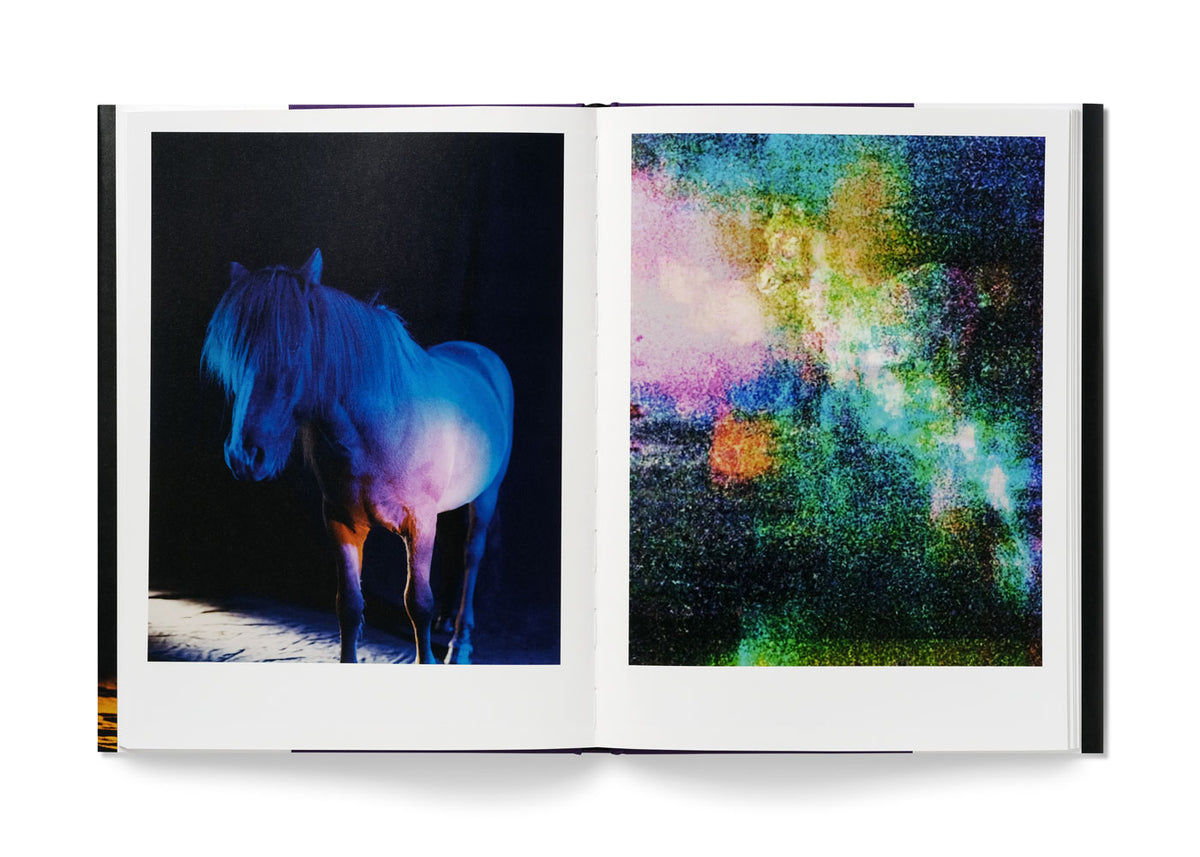 The Horses - Gareth McConnell