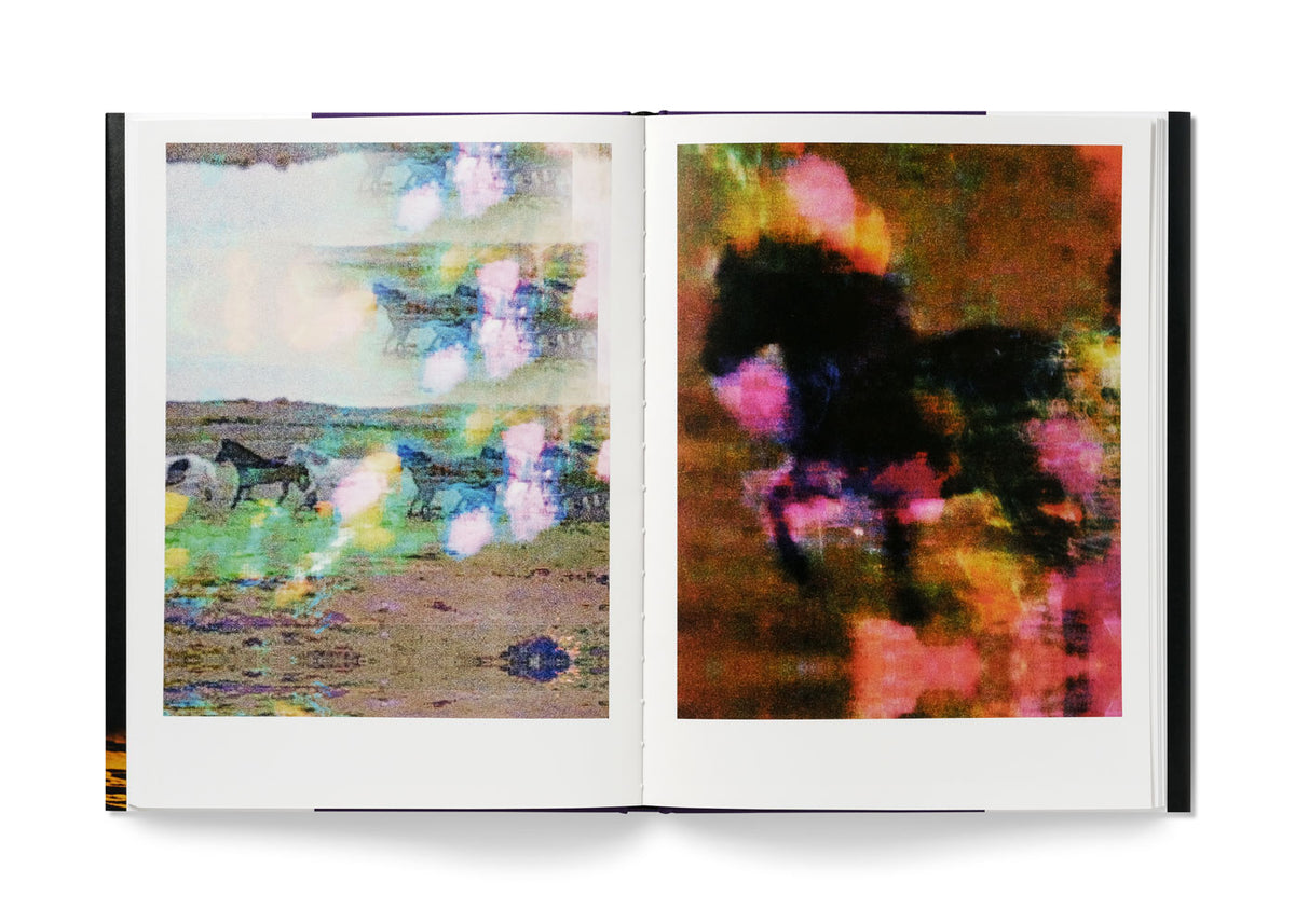 The Horses - Gareth McConnell