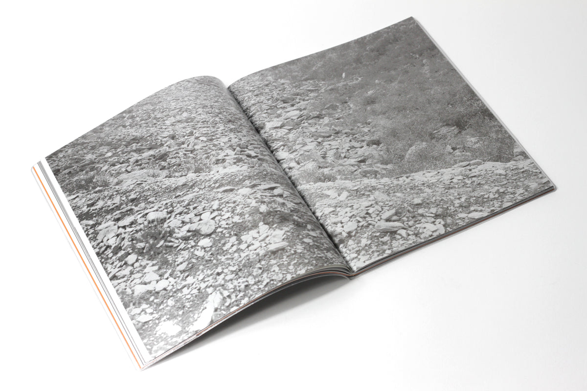 WHEAL - Jack Whitefield