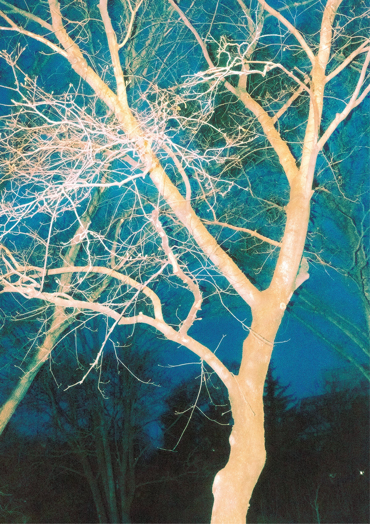 Ornella Mari - Through Hardship to the Stars Print