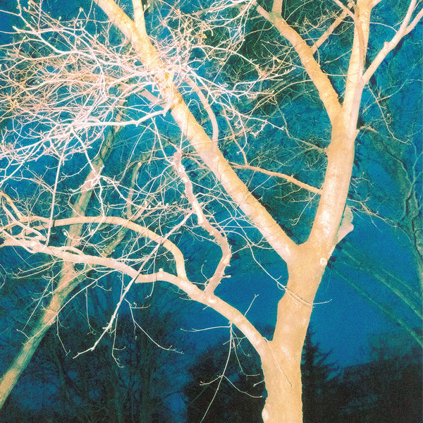 Ornella Mari - Through Hardship to the Stars Print