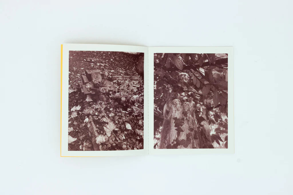 Not Much of a View from Here - Ben Goulder