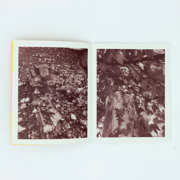 Not Much of a View from Here - Ben Goulder