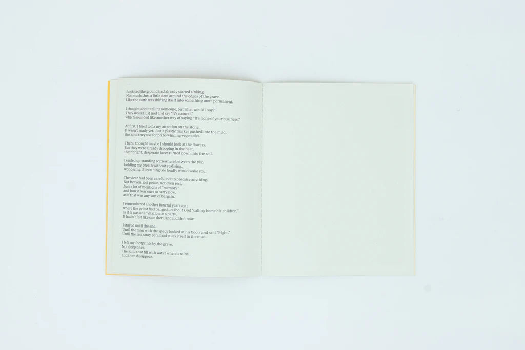 Not Much of a View from Here - Ben Goulder