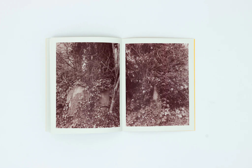 Not Much of a View from Here - Ben Goulder